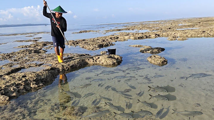 Hari ke 18 di Pulau Terpencil, KUBANGAN AIR DI PENUHI GEROMBOLAN IKAN 😱