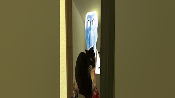 Saving Maxwell Cat From Obunga Family Nextbot Gmod #garrysmod #shorts