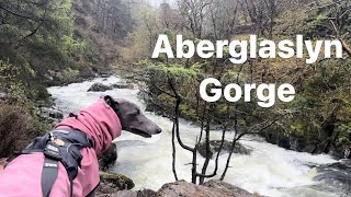 Join GREYHOUND on a spectacular walk in the stunning ABERGLASLYN GORGE, SNOWDONIA