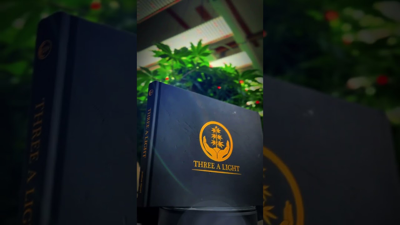 Check out our three a light university, out now!