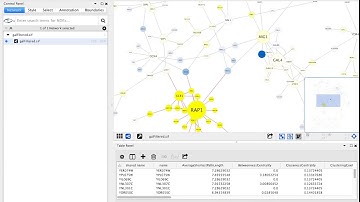 Customizable Toolbar in Cytoscape
