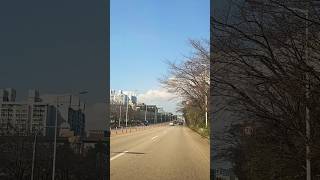 #이미자 #자연이좋아 #자연의힘 #자연치유