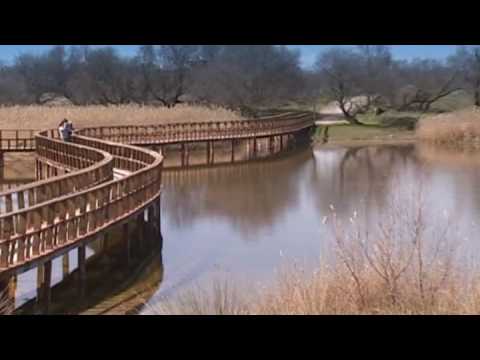 One of the most surprising things you will find in the nature areas of Castile-La Mancha is the wide variety of landscapes and ecosystems to enjoy. From CabaÃ±eros National Park to the Ruidera Lakes and the Cuenca Mountains. www.spain.info