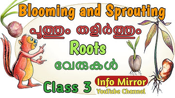 Blooming and Sprouting | പൂത്തും തളിർത്തും | Part 3 | EVS | പരിസരപഠനം | Class 3 | Kerala Syllabus