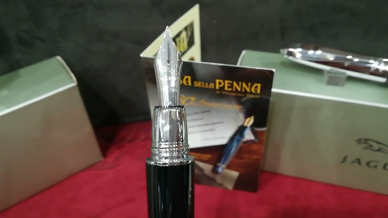 Jaguar pen