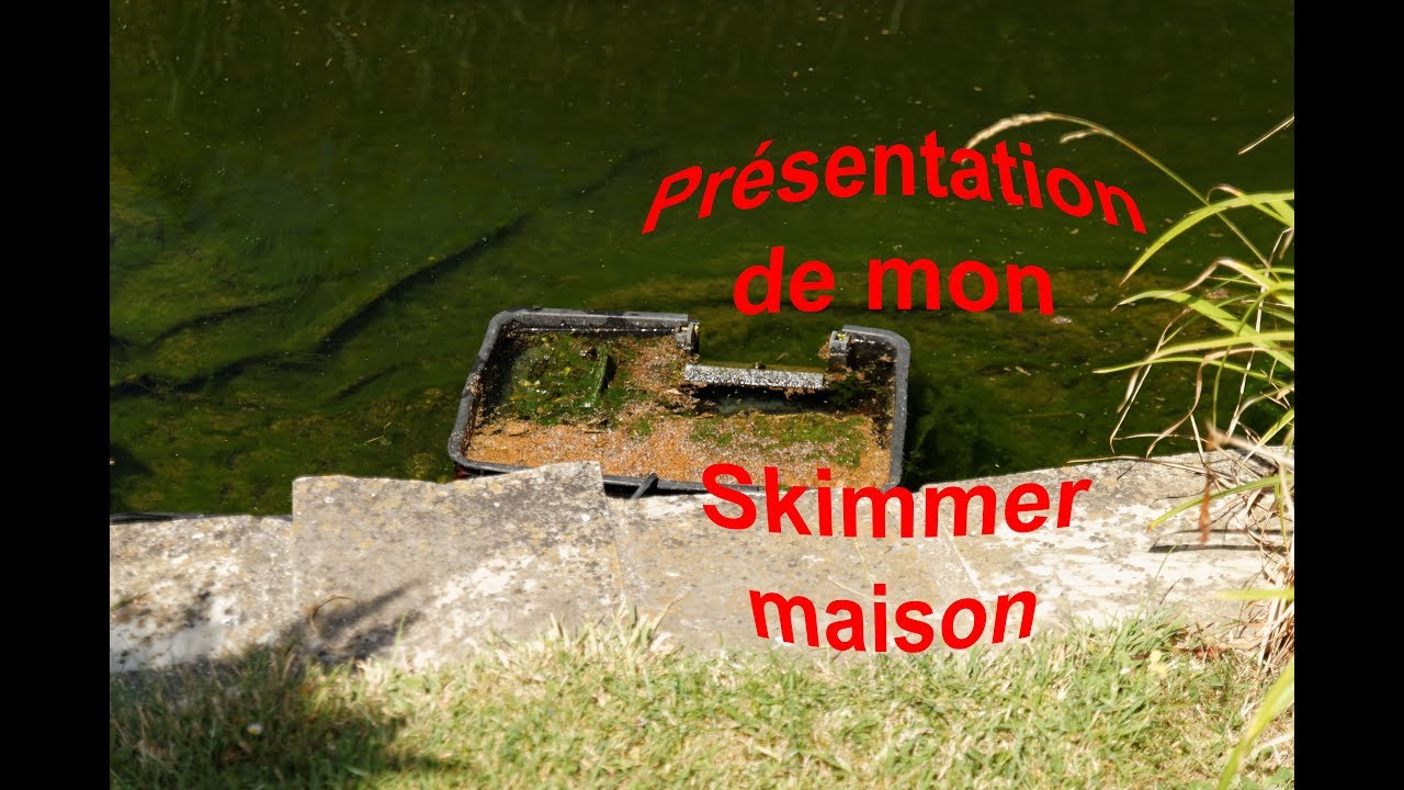 Skimmer de bassin fait maison YouTube