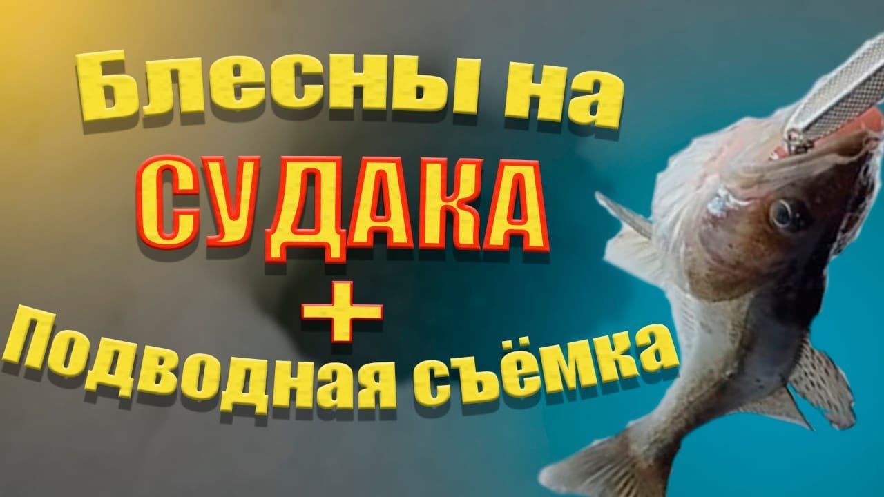 видео зимняя рыбалка на судака на блёсна