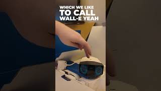 What are you doing? - Reolink Camera Set Up