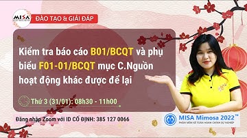 Kiểm tra B01/BCQT và phụ biểu F01-01/BCQT mục C.Nguồn hoạt động khác được để lại (Sáng 31.01)