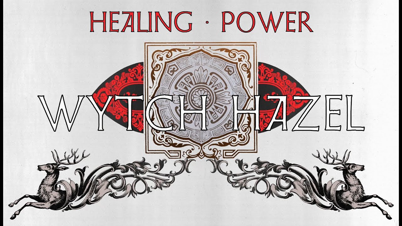 Watch WYTCH HAZEL "Healing Power' (OFFICIAL AUDIO) on YouTube Watch WYTCH HAZEL "Healing Power' (OFFICIAL AUDIO) on YouTube