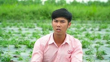 Vùng trồng cà gai leo Tuệ Linh lớn nhất Việt Nam đạt tiêu chuẩn dược liệu sạch GACP – WHO