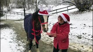 Goodbye Niygt~01/01/1990-23/01/2021