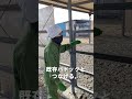 新しいパドックにヒナを入れます!ヒナのお引越し【美里オーストリッチファーム】#shorts
