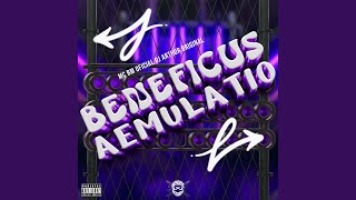 Beneficus Aemulatio