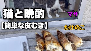 Eating bamboo shoots and drinking beer with a cat