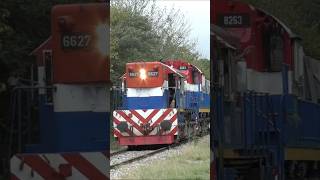 Tren de NCA por el Paraje Carcano
