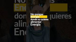 ¿Cómo alimentas tu energía? Esta frase me hizo pensar mucho sobre esto.