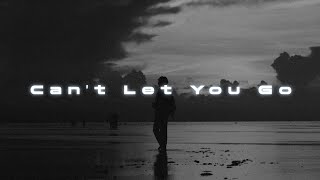 Ali Gate - Can't Let You Go ( Prototype Remix Version )