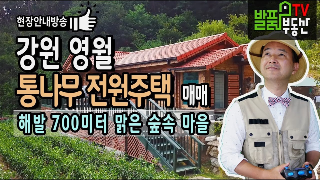 강원 영월 전원주택 매매 핀란드산 통나무로 만든 튼튼한 숲속 주택 강원부동산 - 발품부동산TV