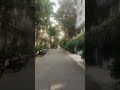 Жизнь — это путь. Главное — идти вперёд. #shorts #nature #palmtree #vibes #relaxing #walking #life