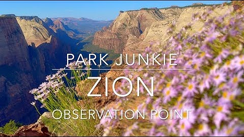 Zion - Hiking Observation Point
