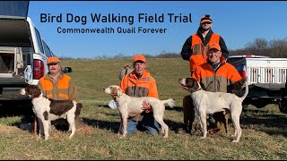 Bird Dog Field Trial Point Back Retrieve Quail Forever
