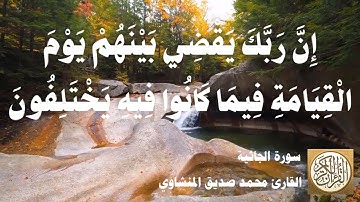 045 محمد صديق المنشاوي - سورة الجاثية