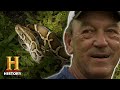 Swamp People: Serpent Invasion: Troy vs. HUNGRY PYTHONS at SNAKE ISLAND (Season 2) | History