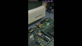 New Multistream Test (Portrait)