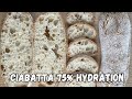 How to Make No Knead Ciabatta 75% Hydration | Open Crumb | Ciabatta Recipe