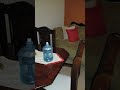 can somebody help me to see what is this white circle in this videos