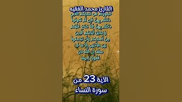 من سورة النساء #محمد_الفقيه #اكسبلور #quran_karim_قران_الكريم #foryou #quran #احمد_العجمي