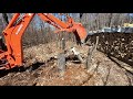 Kubota L4701 & BH92 Backhoe Clearing Trees, Removing Small Stumps & Finishing The Grade