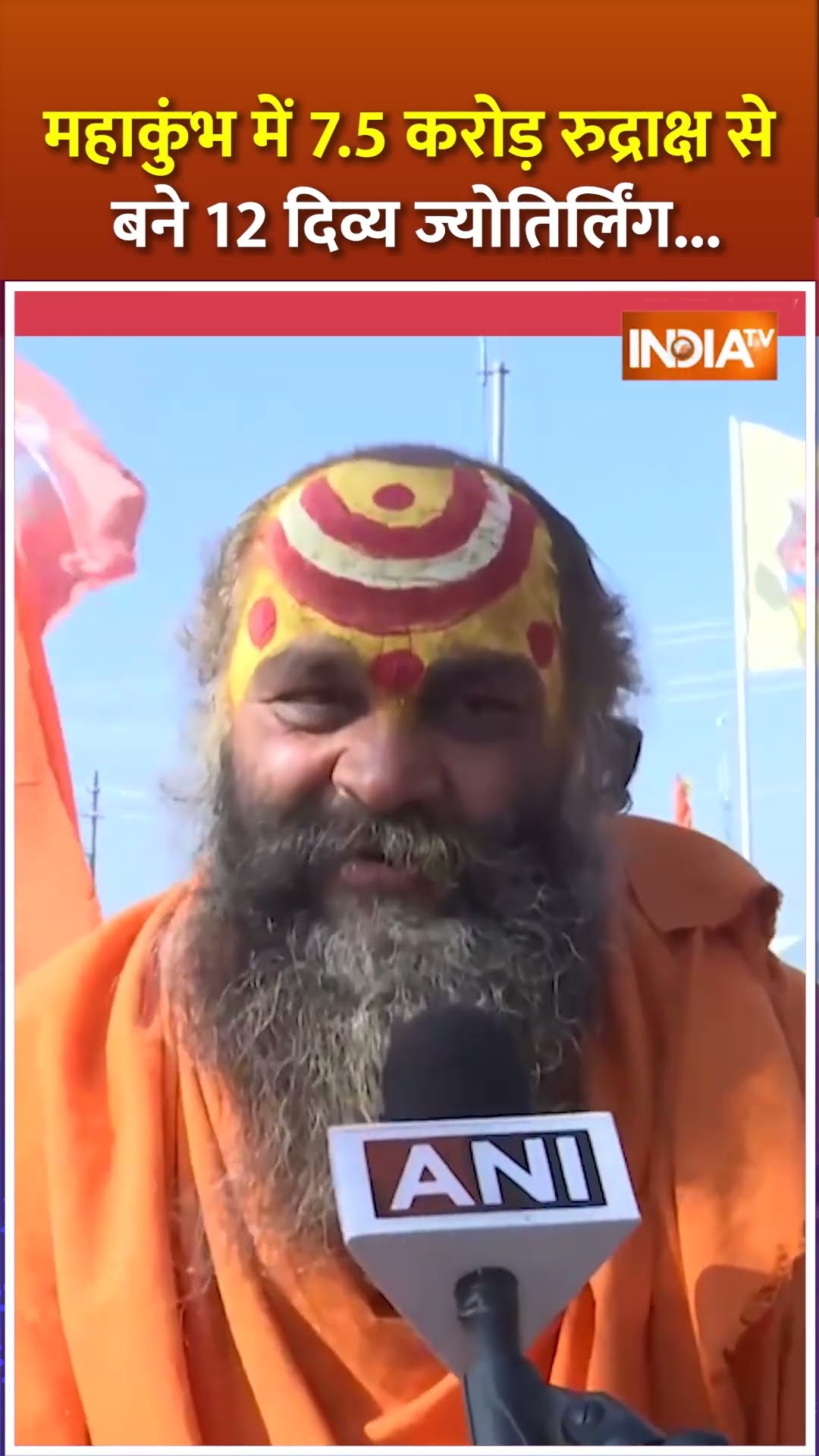 #mahakumbh2025 में 7.5 करोड़ रूद्राक्ष से बने 12 ज्योतिर्लिंग...देखिए वीडियों #prayagraj #shorts