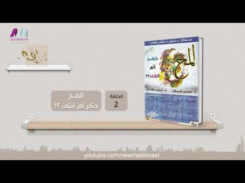 وراق 02 - كتاب - المخ ذكر أم أنثي