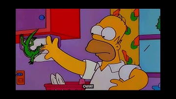 Simpsons Begging the question clip