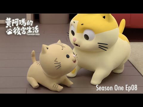 黃阿瑪的後宮生活 第1季 第8集【小招弟登場！】｜同名動畫 Fumeancats, Season One, Ep08