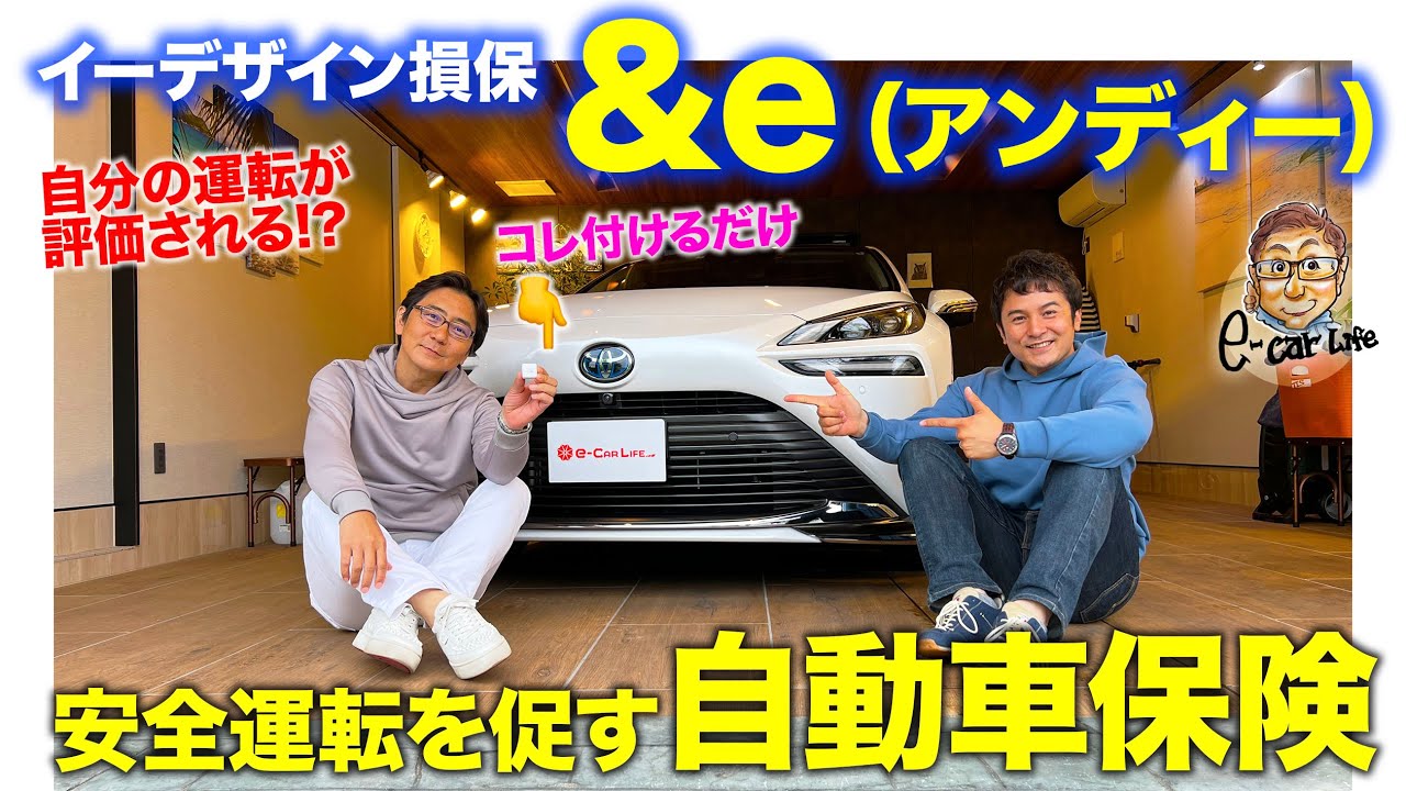 みぃちゃんページ 他の方のご購入はご遠慮ください 運転を評価して安全を促す自動車保険】イーデザイン損保 &e