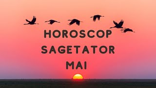 ♐️ Sagetator Horoscop Mai 2024