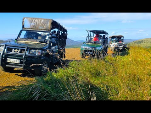 AFRIQUE DU SUD. HLUHLUWE UMFOLOZI PARC