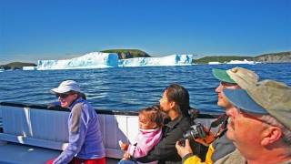 Amazing icebergs with White Island Boat Tours, Newfoundland