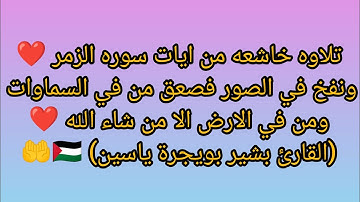 تلاوة مبكية من آيات سورة الزمر ❤️ (من أحوال يوم القيامة) 🤲/(القارئ بشير بويجرة ياسين) 🇵🇸