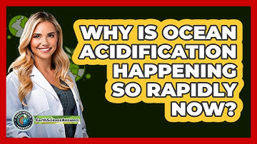 Why Is Ocean Acidification Happening So Rapidly Now? - Earth Science Answers