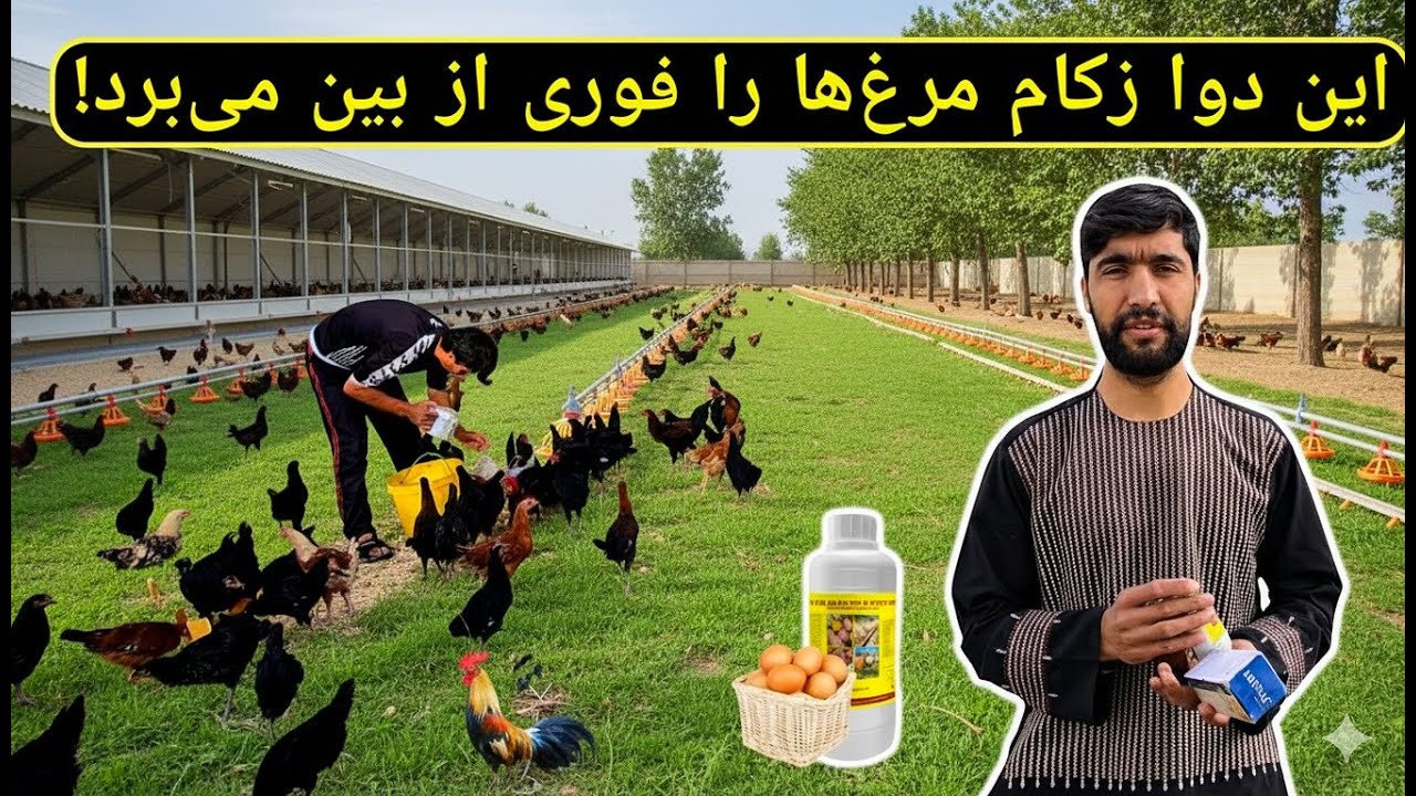 Жизнь в деревне: Ветряной грипп зимой | Простой и эффективный способ лечения!