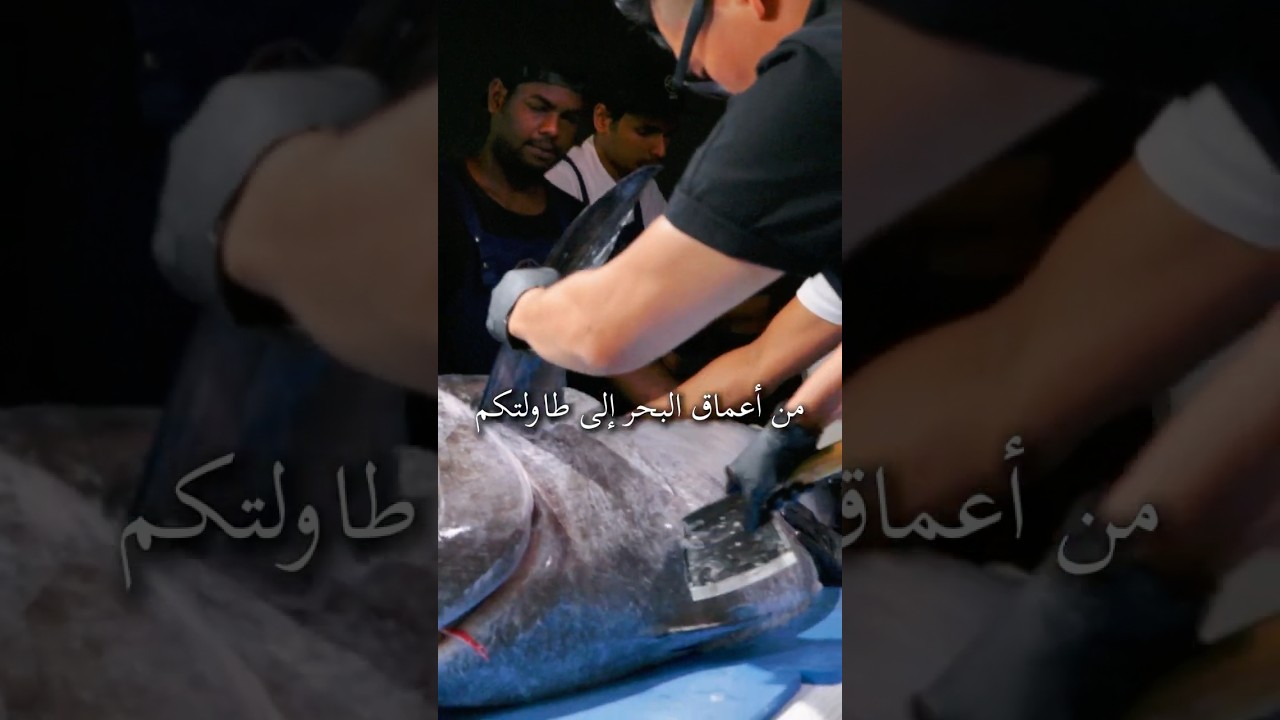 Bluefin Tuna Preparation | WAWA Dining Dubai | Premium Japanese & Chef Lab Creations