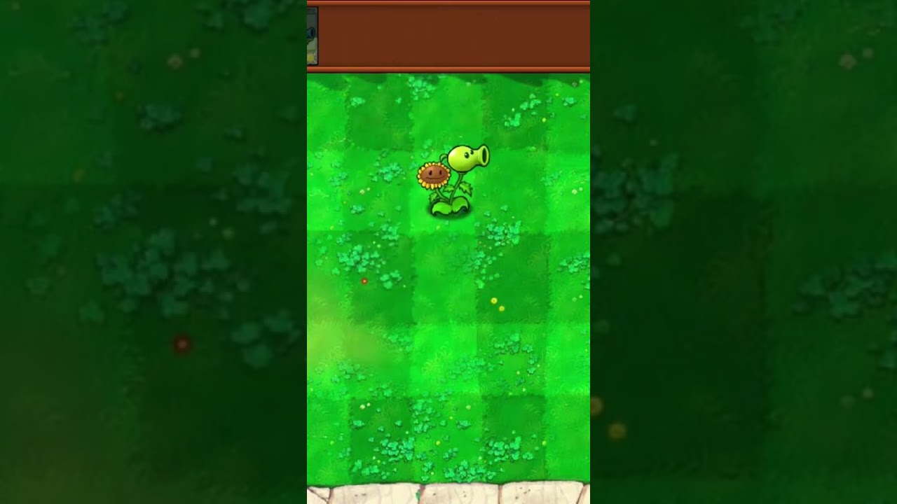 #pvz