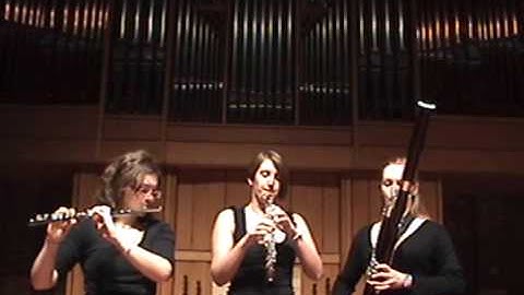 Hatred In My Smile (The Windhover) -Original Video