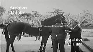 Hugo Nuñez gana el Premio Prenupcial en el Hipodromo de San Isidro 1967