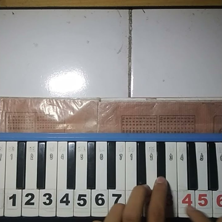 DJ RIAN. A VIRAL TIKTOK PIANIKA COVER