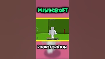 Settings For Change Minecraft Pocket Edition Into Java...
